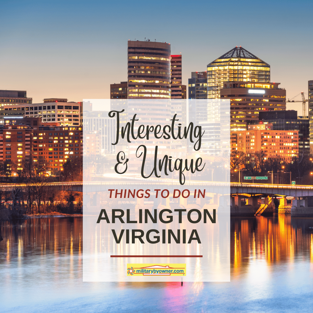 Interesting & Unique Things to Do in Arlington Virginia 